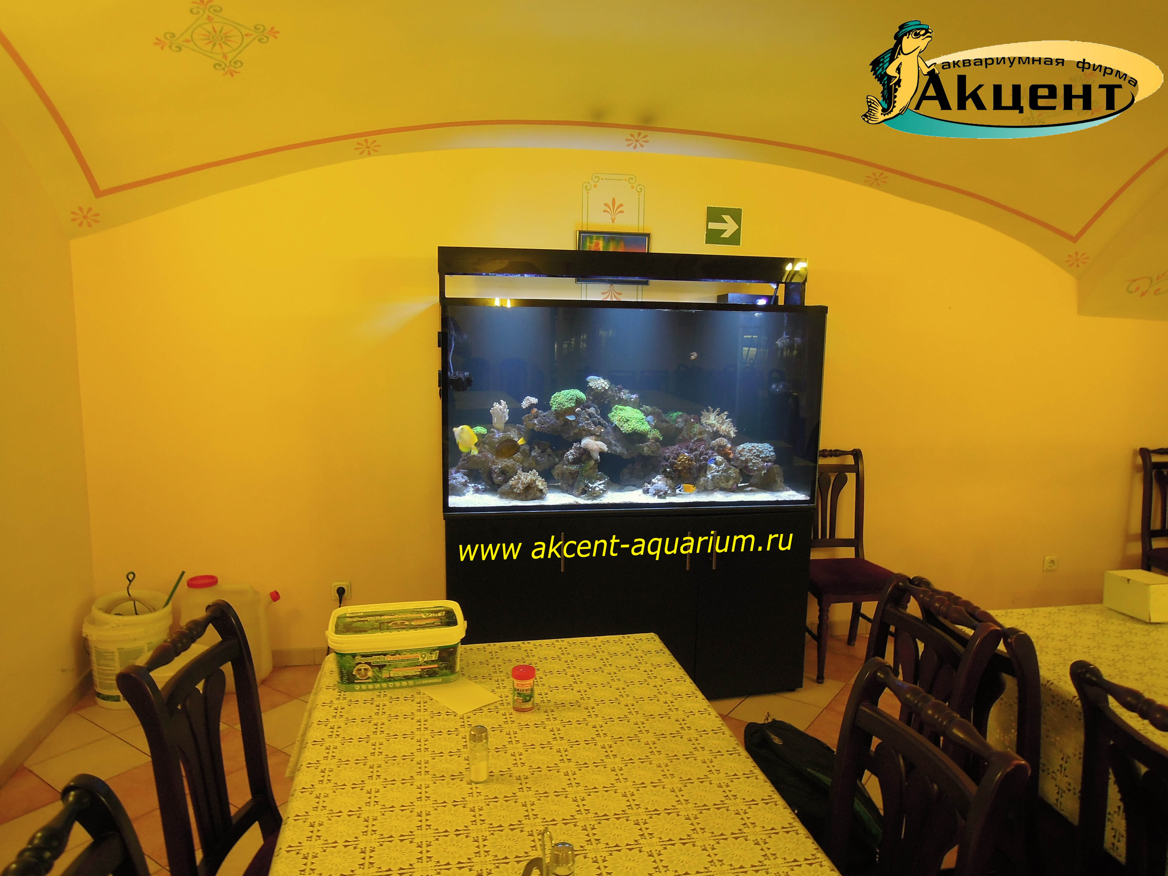 Акцент-аквариум морской рифовый аквариум 800 литро 